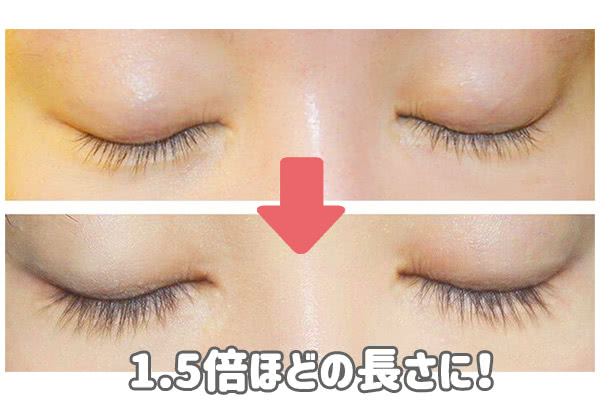 モデルアイズ・モデラッシュの効果(使用前後のまつ毛の写真)