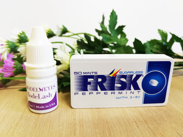 モデラッシュとフリスクの比較